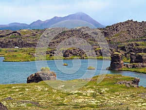 myvatn lake vulcanic lake in norther iceland with lava rocks green grasa and mountain background photo