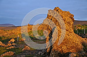 Myvatn volcanic lava field in Iceland