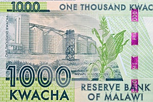 Mzuzu maize silos from Malawian kwacha