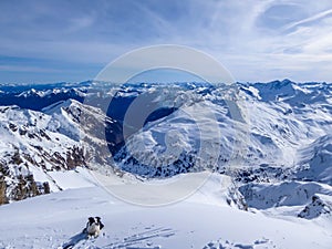 Mölltaler Gletscher - Dog in tall snow caped mountains