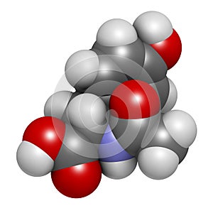 N-acetyl-tyrosine (NALT) molecule. 3D rendering.  Acetylated form of the amino acid tyrosine.  Atoms are represented as spheres