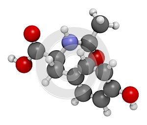 N-acetyl-tyrosine (NALT) molecule. 3D rendering.  Acetylated form of the amino acid tyrosine.  Atoms are represented as spheres