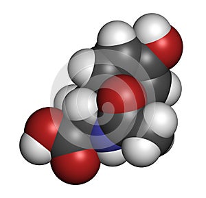 N-acetyl-tyrosine (NALT) molecule. Acetylated form of the amino acid tyrosine. Atoms are represented as spheres with conventional