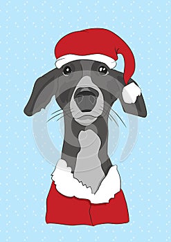 N Christmas clothes, can be used as a greeting card, vector