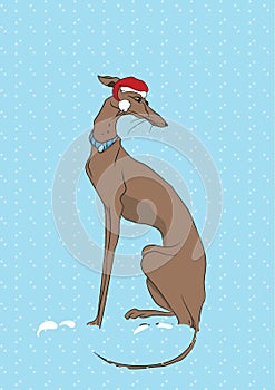 N Christmas clothes, can be used as a greeting card, vector