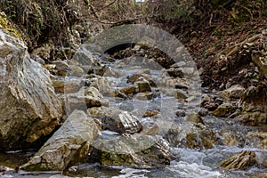 N Flowing Water Forest River