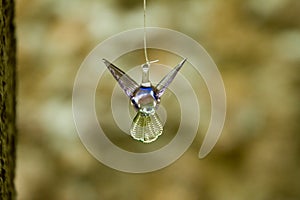 A glass colibri wanting to conquer the flight photo