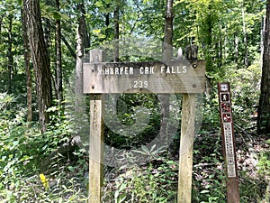 N. Harper Creek Falls trail sign trailhead