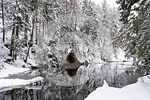 n the middle of the forest is a cliff with a reservoir of water