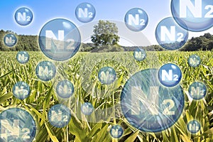N2 nitrogen gas is the main constituent of the earth\'s atmosphere - concept with nitrogen molecules photo