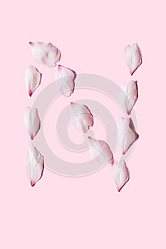N word with petals on pink background