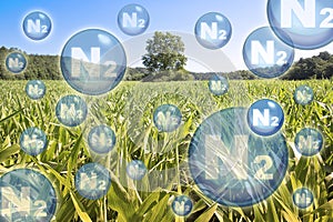 N2 nitrogen gas is the main constituent of the earth\'s atmosphere - concept with nitrogen molecules