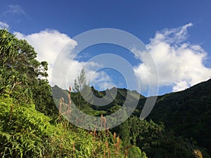 Na Pali Coast Cliffs on Kauai Island, Hawaii - Kalalau Trail.