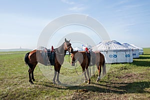 Naadam Mongolian herders meeting