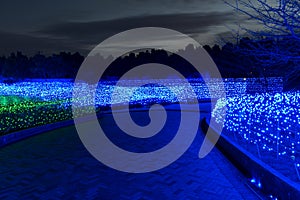 Nabana no Sato garden at night in Nagashima, Nagoya