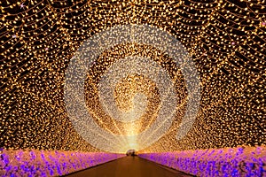 Nabana no Sato garden at night Nagoya.