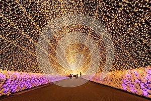 Nabana no Sato garden winter illumination at night, Nagoya