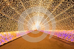 Nabana no sato winter illumination