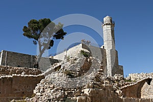 In the Nabi Samuel national park.