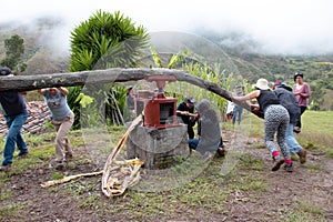 Group of tourists squeeze sugarcane  juice