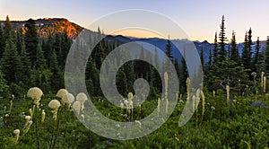 Naches Peak Loop Trail in Mt Rainier NP