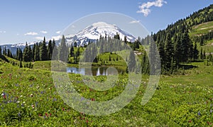 Naches Peak Loop Trail in Mt Rainier NP