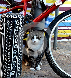 Nachlat Binyamin 2017 Tel Aviv photo