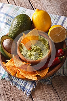 Nachos, guacamole hot sauce and ingredients close-up. vertical