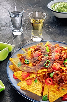 Nachos, Mexican food, tortilla chips with beef and fresh vegetables