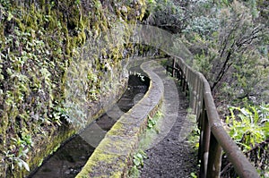 Nacientes Marcos y Cordero - beautiful trail on the island La Pa photo