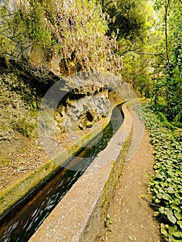 Nacientes Marcos y Cordero Trail, La Palma