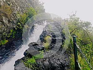 Nacientes Marcos y Cordero Trail, La Palma photo