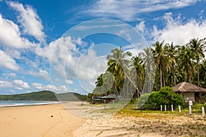 Nacpan sandy beach in El Nido Philippines -  tropical beach with coconut trees