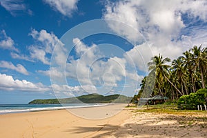 Nacpan sandy beach in El Nido Philippines -  tropical beach with coconut trees