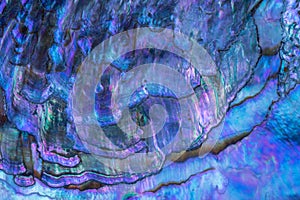 Nacre - Mother of Pearl, inside of a shell photo