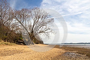 Nacton Shores, Suffolk, England, United Kingdom