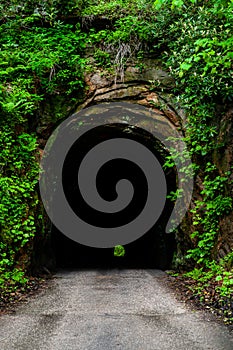 Nada Tunnel - Red River Gorge Geological Area - Appalachian Mountains - Kentucky