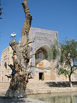 Nadir Divan-Begi khanaka in Bukhara photo