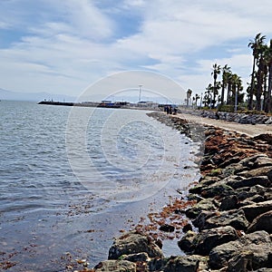 Nador Morocco Afrique plage corniche