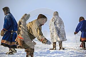 Yamal, open area, tundra,The extreme north,  Races on reindeer sled in the Reindeer Herder`s