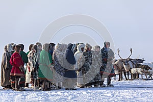 Yamal, open area, tundra,The extreme north,  Races on reindeer sled in the Reindeer Herder`s