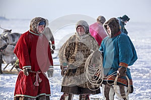 Yamal, open area, tundra,The extreme north,  Races on reindeer sled in the Reindeer Herder`s