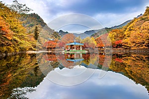 NAEJANGSAN, KOREA - NOVEMBER 1: Tourists taking photos.