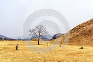 Naemul of silla royal mounds photo