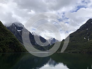 The Naeroyfjord with a seagull in Norway. Famous Norway fjords and best Norwegian scenery