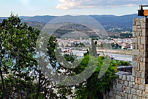 Nafplio and a tree. photo