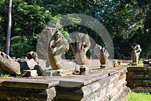 Naga in the Chausaytevoda temple