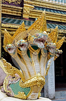 Naga dragon snake guard in thai buddhist Temple