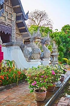 The Naga guardians of  Bhuridatto Viharn, Wat Chedi Luang, Chiang Mai, Thailand