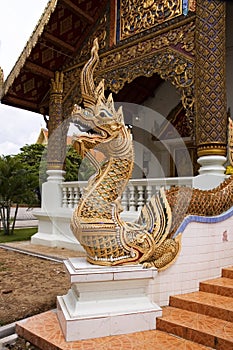 Naga guarding the Temple entrance photo